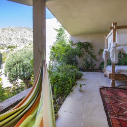 54
